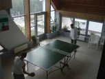 ping-pong