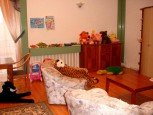image00002