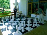 chess tournament